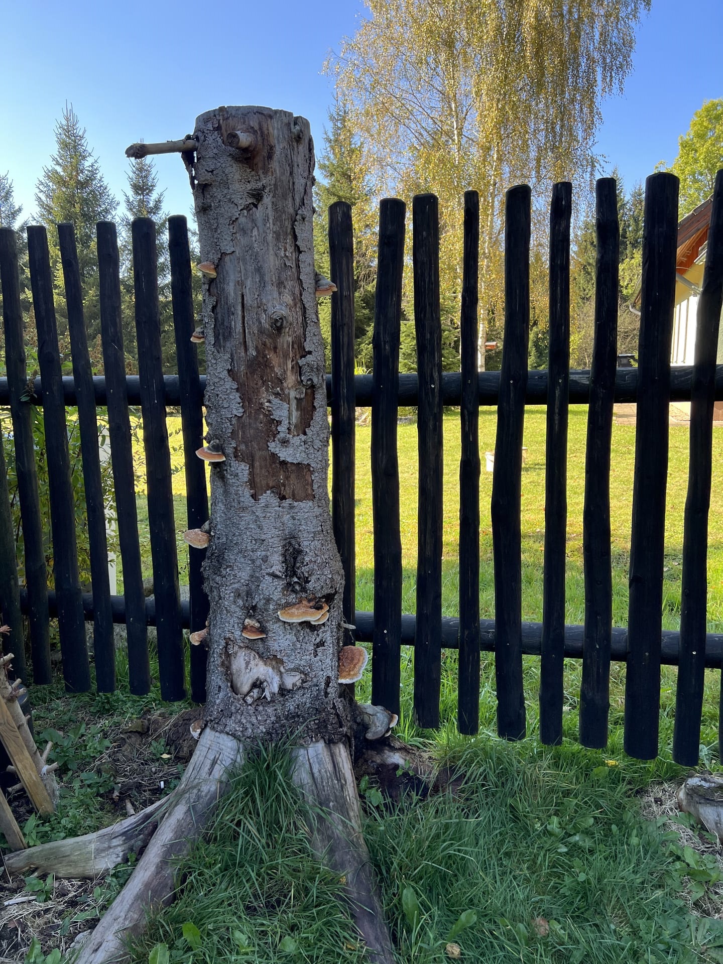 Obrázek 3 / Dřevěné ploty - strojně frézované   - realizace Harrachov 10-2021